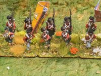 SMALL Napoleonic 43   2018